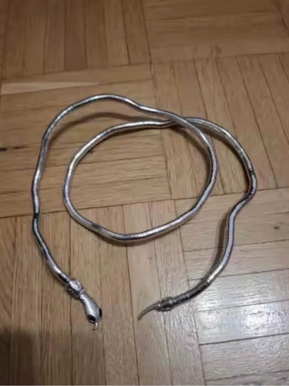 Silver Snake Coil Reptile Bracelet for Pets
